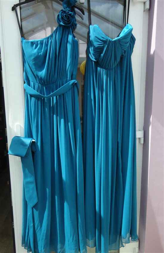 Dessy BM dresses with matching tie and pocket square, ribbons, card box, head piece and garter