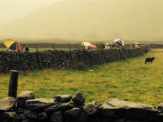 Re: The 2 part wedding and the subsequent report.