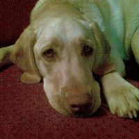 Re: Busy Weekend with Flash, if ya want a Nosy