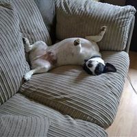 Re: Busy Weekend with Flash, if ya want a Nosy