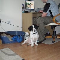 Re: Share a picture!