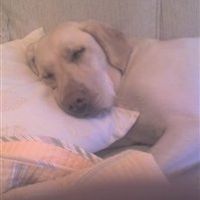 Re: Busy Weekend with Flash, if ya want a Nosy