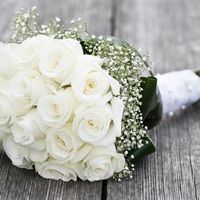 127 days to go big first flash!!!! 