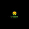 Enwatt