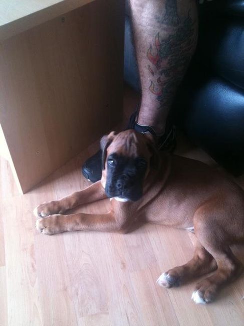 Re: The post a picture of your pet thread!