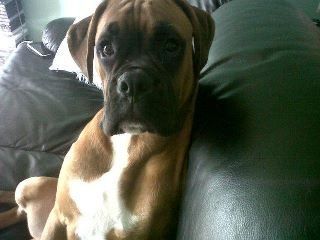 Re: The post a picture of your pet thread!