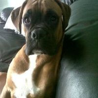 Re: The post a picture of your pet thread!