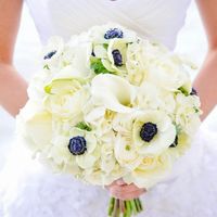 The wedding plans with lots of Flashes