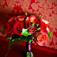 The wedding plans with lots of Flashes