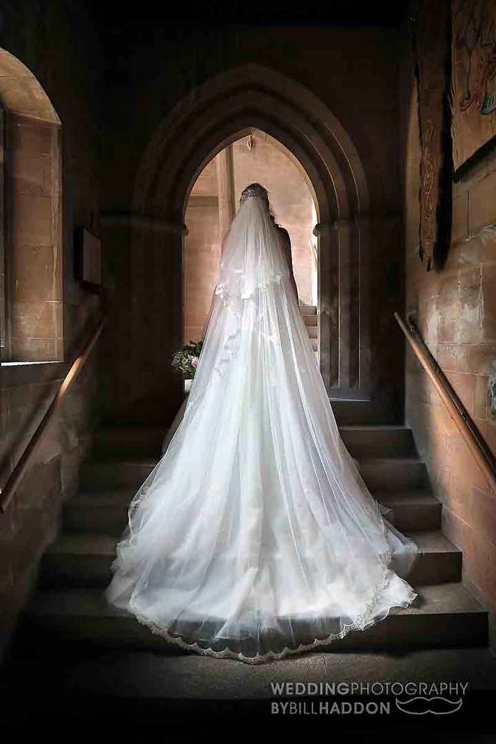 Veil or no veil? - 6