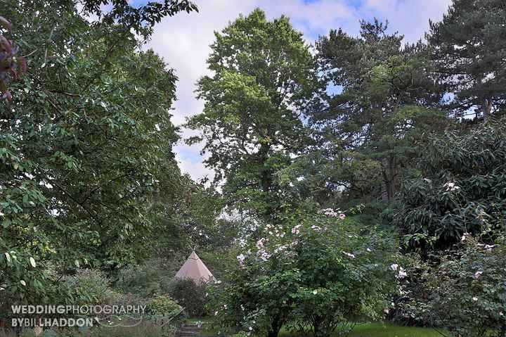 Venue help!! Looking for a woodland ceremony! - 4