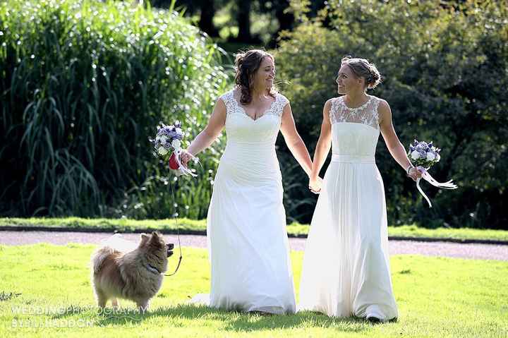 Has anyone had their dogs at their wedding? we would love to have our 2 cockapoo at the ceremony. - 
