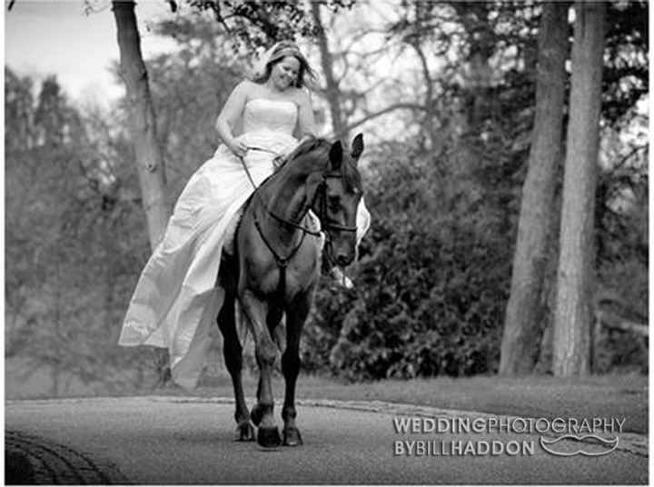Horses at your wedding - 1