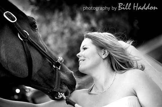 Horses at your wedding - 2