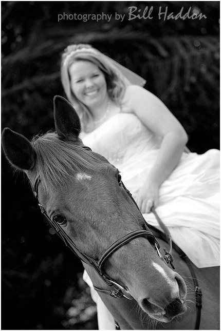 Horses at your wedding - 3