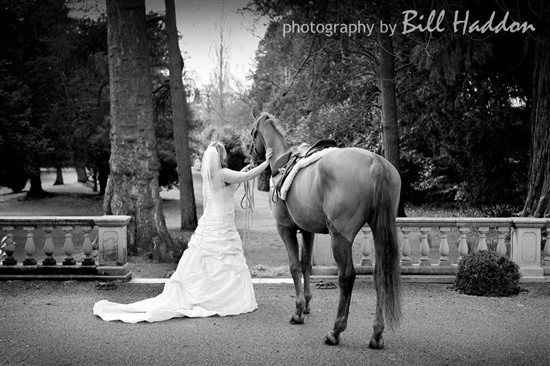 Horses at your wedding - 4