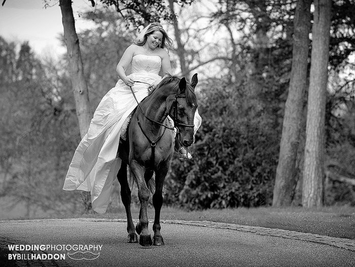 Anybody ever ridden their own horse to the wedding? 3