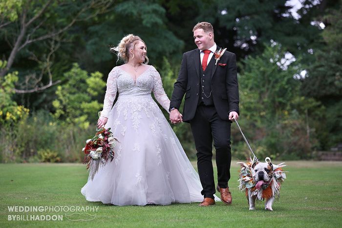 Has anyone had their dogs at their wedding? we would love to have our 2 cockapoo at the ceremony. 3