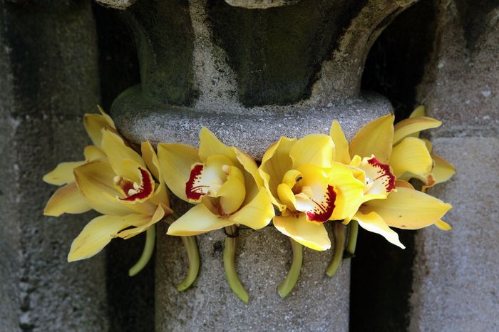 Church decorations - 1