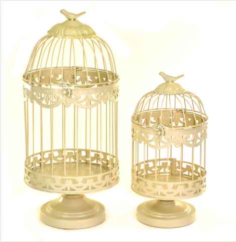 I need this exact bird cage!