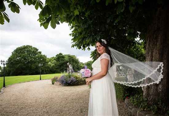 Re: WANTED Pronovias (or similar) lace edged veil