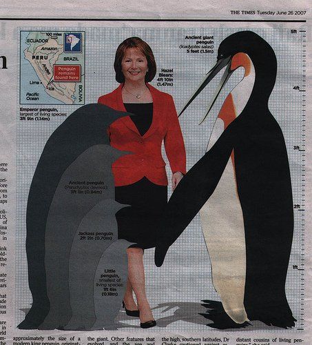 Re: Hazel Blears resigns