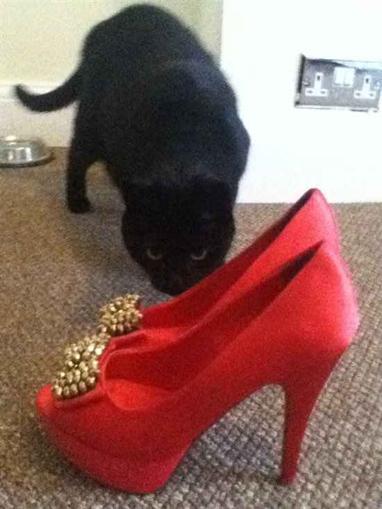 Re: GOT MY SHOES!!!!**** FLASH! *****