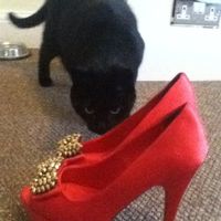 Re: GOT MY SHOES!!!!**** FLASH! *****