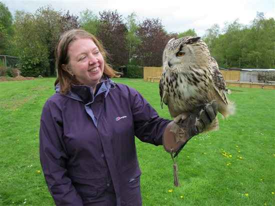 My Owl day