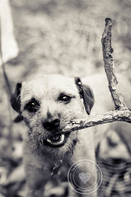 Re: The post a picture of your pet thread!