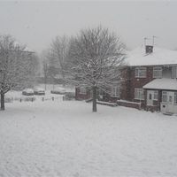 Re: RERe: RERe: REShow me your snowy photos