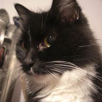 Re: Show me your pets!