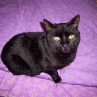 Re: RERe: RERe: Show me your pets!