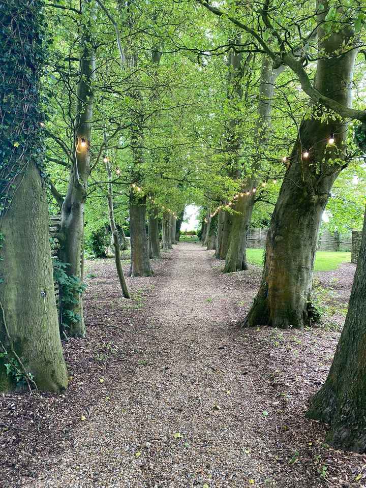 Venue help!! Looking for a woodland ceremony! - 1