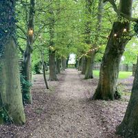 Venue help!! Looking for a woodland ceremony! - 1