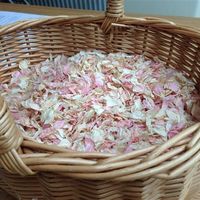 Re: Flip flop basket, hurricane vases, vintage mirror ory and pink delphinium confetti with whicker 