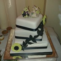 A quick report and flash of our perfect day with more pics added