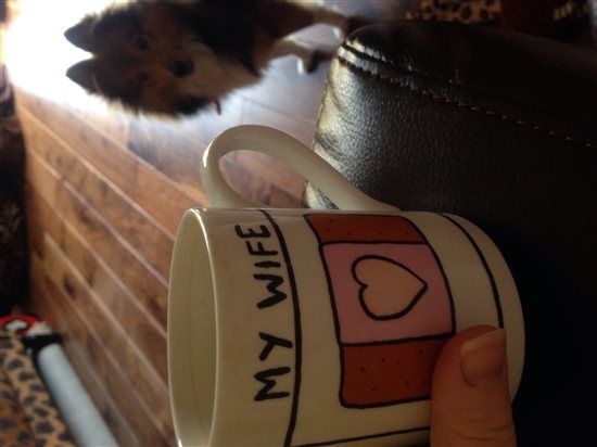 Re: Mug shot... (opportunity to flash some more)