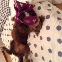 Re: Where is everyone?