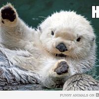 Re: Let's cheer up Twiga