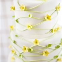 Re: Flash me your cake!