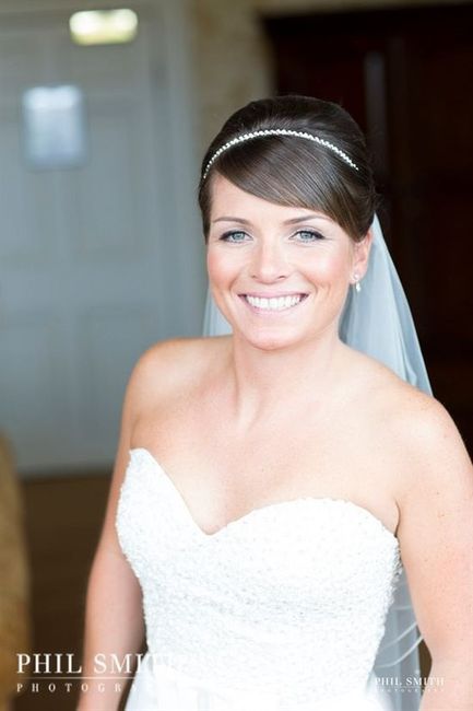 Re: Joyce Jackson Wedding Veil and Tiara For Sale