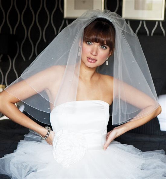 Re: Joyce Jackson Wedding Veil and Tiara For Sale