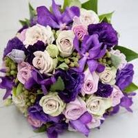 Only 94 days.....starting to get a bit nervous......FLASH!