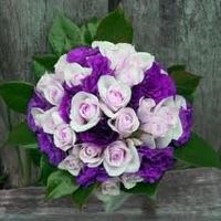 Only 94 days.....starting to get a bit nervous......FLASH!