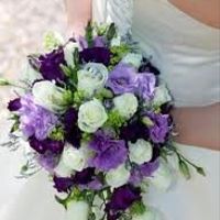 Only 94 days.....starting to get a bit nervous......FLASH!