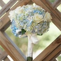 OMG 51 Days!!! Flash, flash, flash!!!