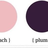 Re: Most popular wedding colour?