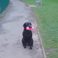 Re: Show us your cute and furries!!