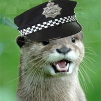 Re: I think I'm pregnant....